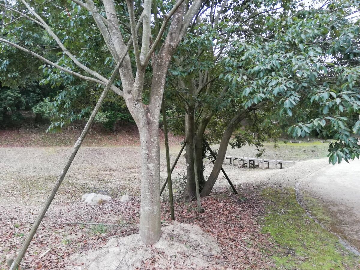 桜生史跡公園の写真5