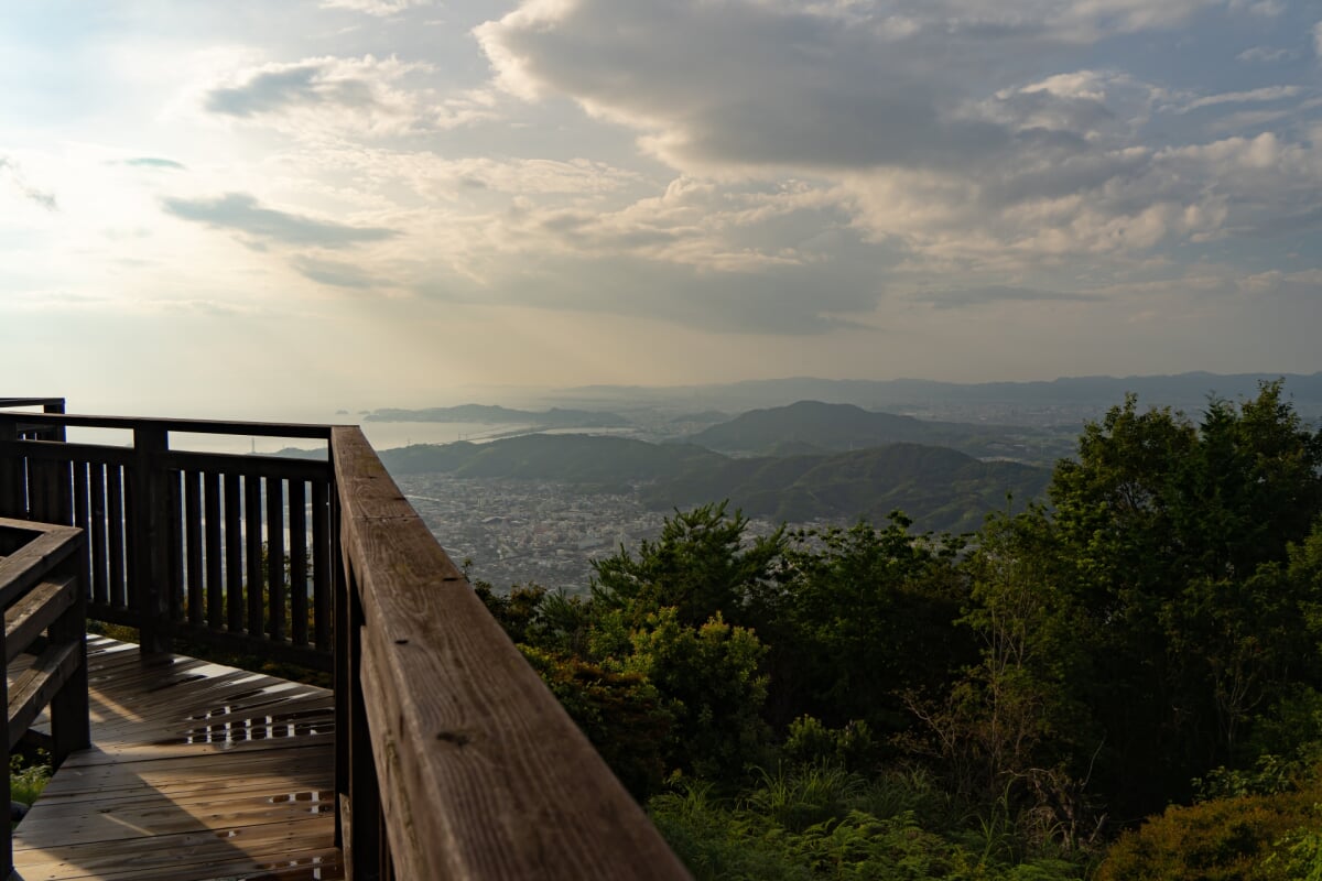 森林公園雨の森の写真2