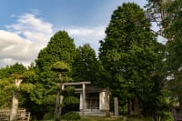 森林公園雨の森
