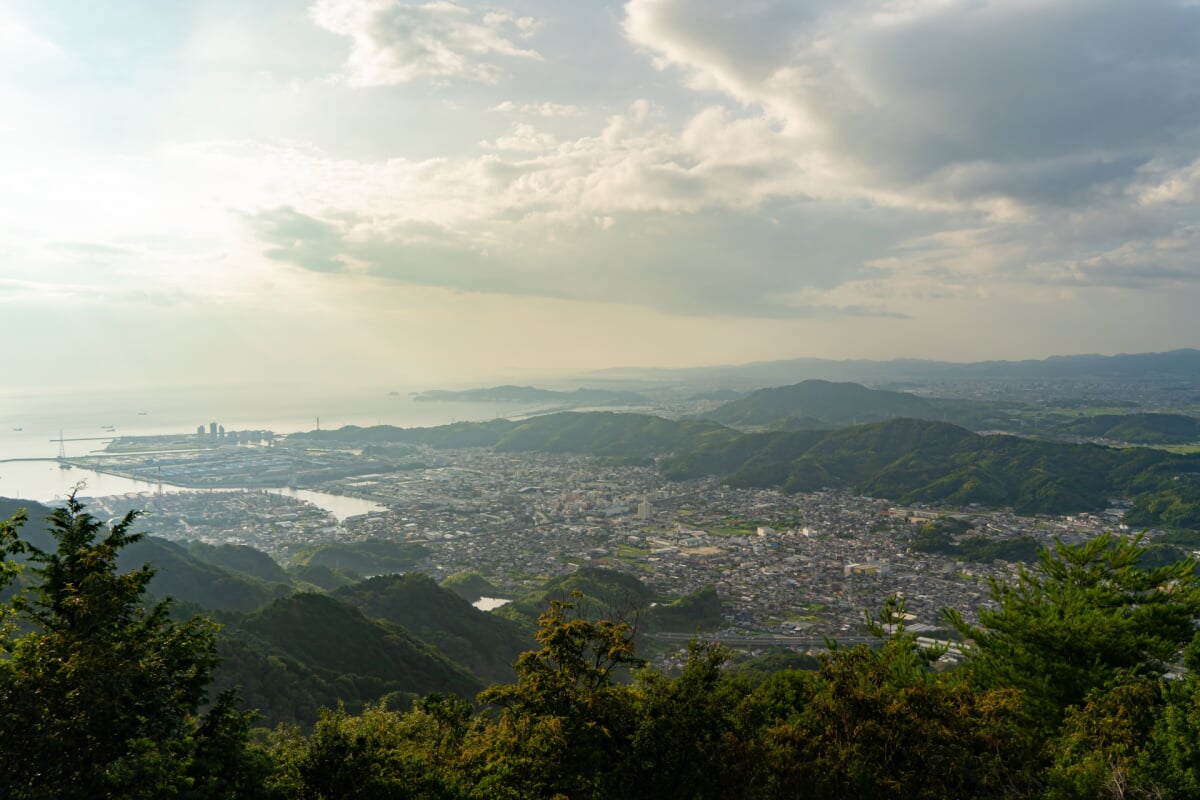 森林公園雨の森の写真3
