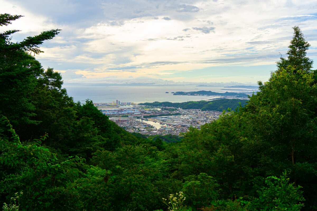 森林公園雨の森の写真4