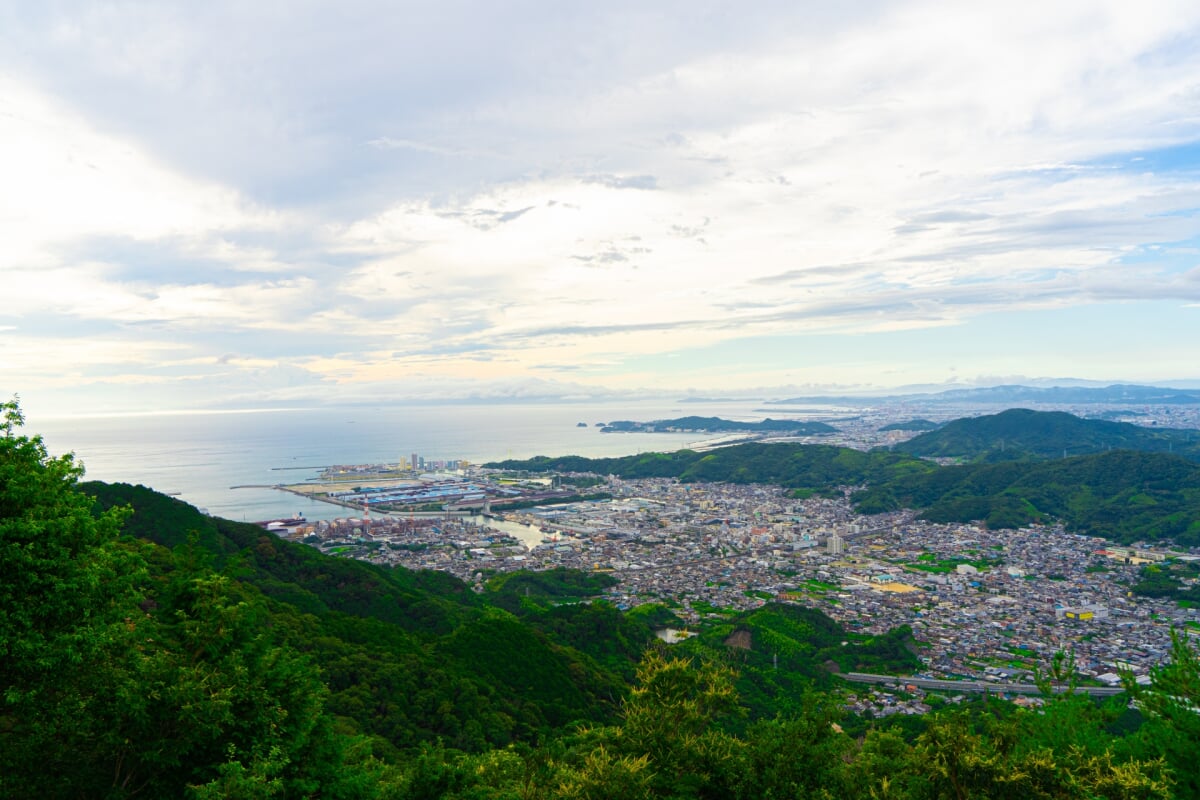 森林公園雨の森の写真5