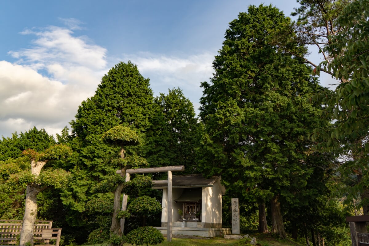 森林公園雨の森の写真1