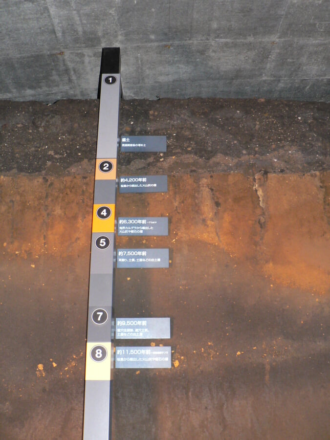 鹿児島県 上野原縄文の森の写真3