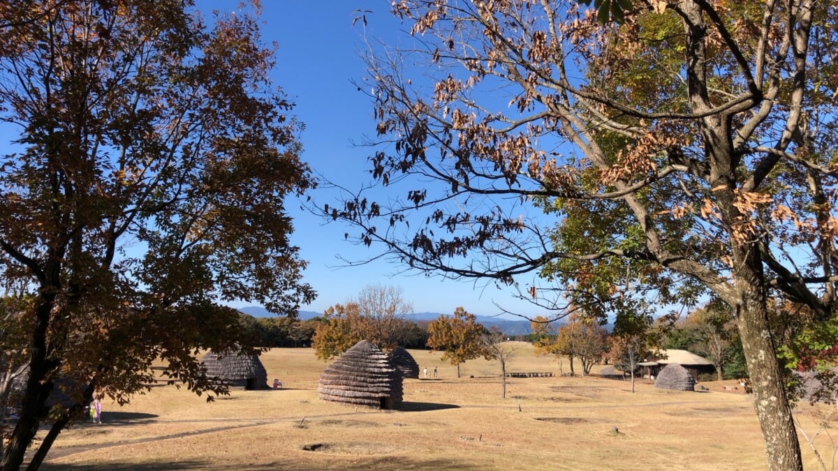 鹿児島県 上野原縄文の森の写真1