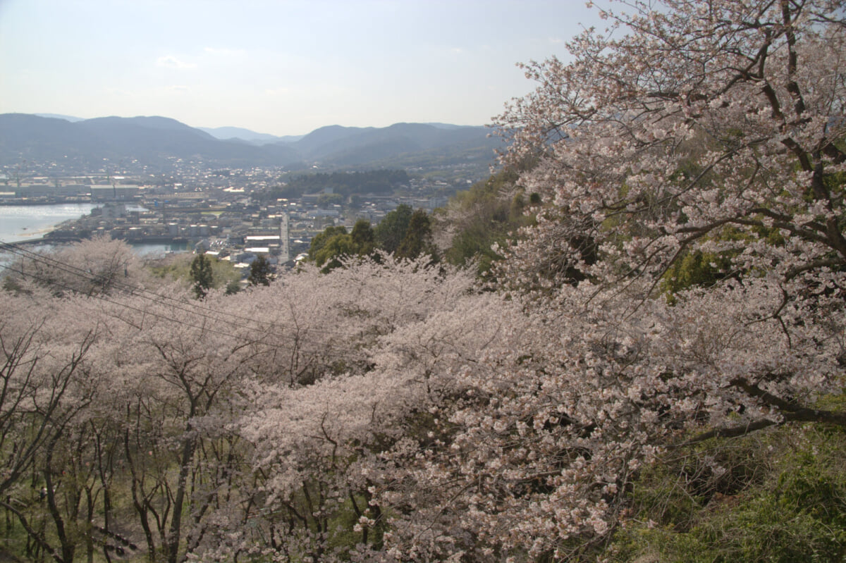 正福寺山公園の写真2