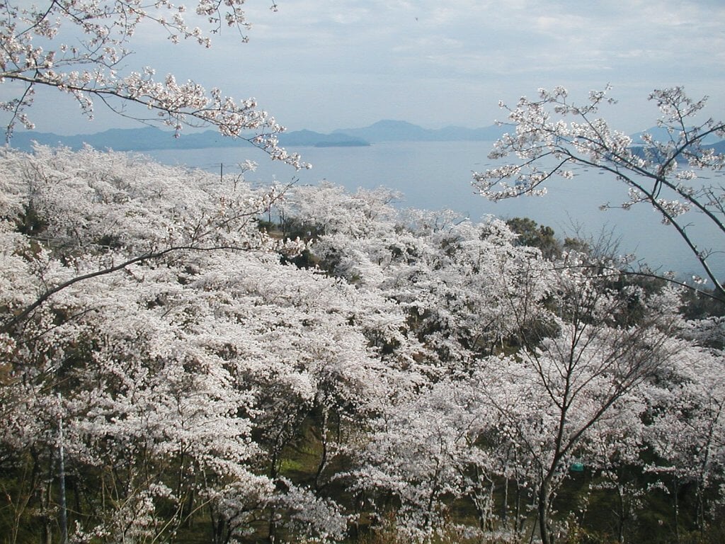 正福寺山公園の写真3