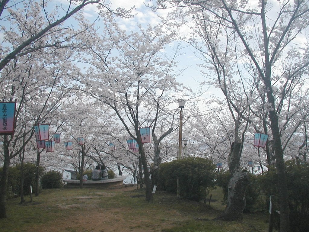 正福寺山公園の写真4