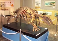 伊達市梁川美術館