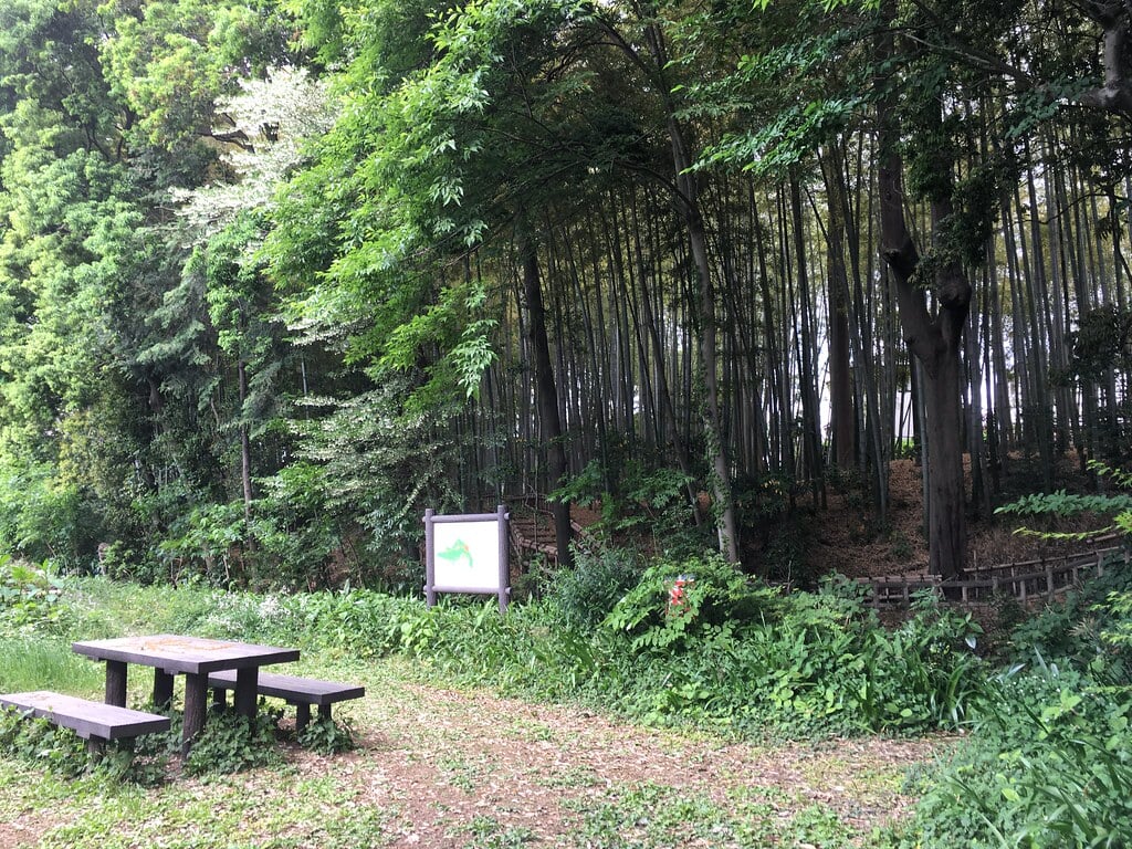 竹林公園の写真3