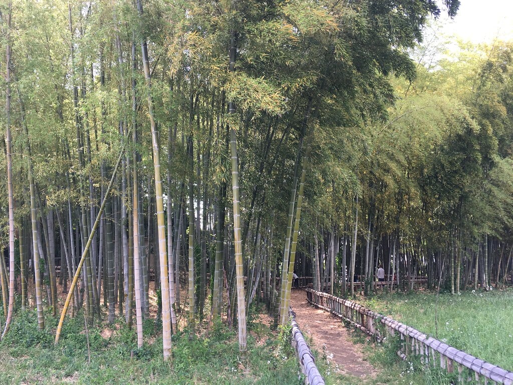 竹林公園の写真5