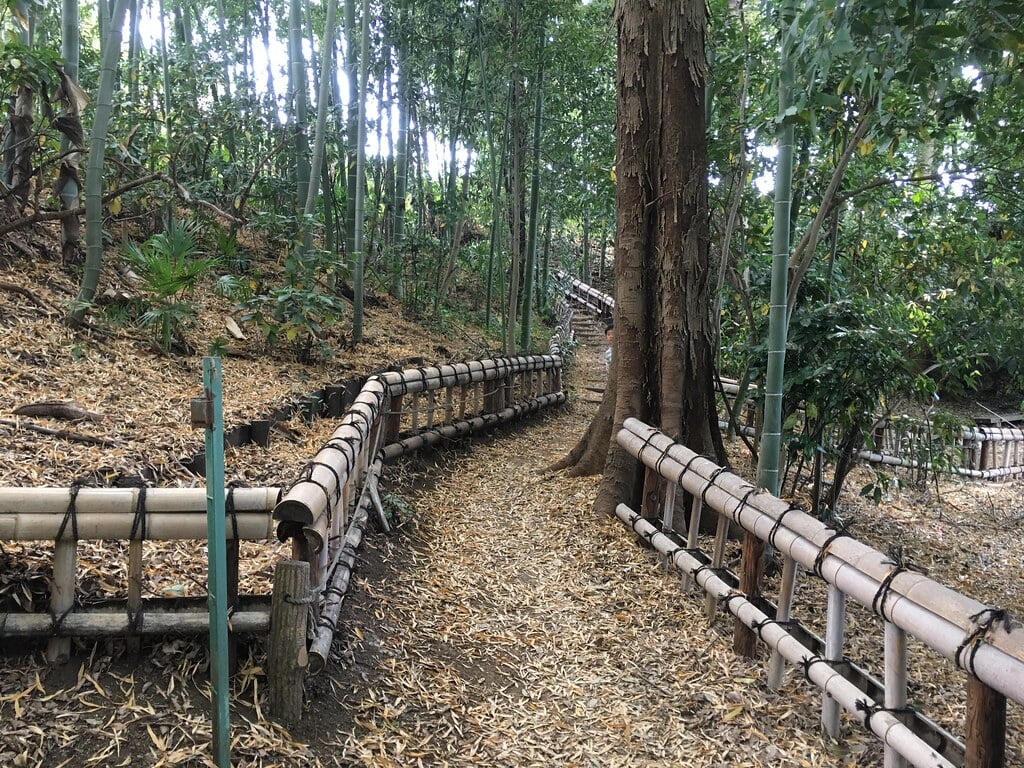 竹林公園の写真6