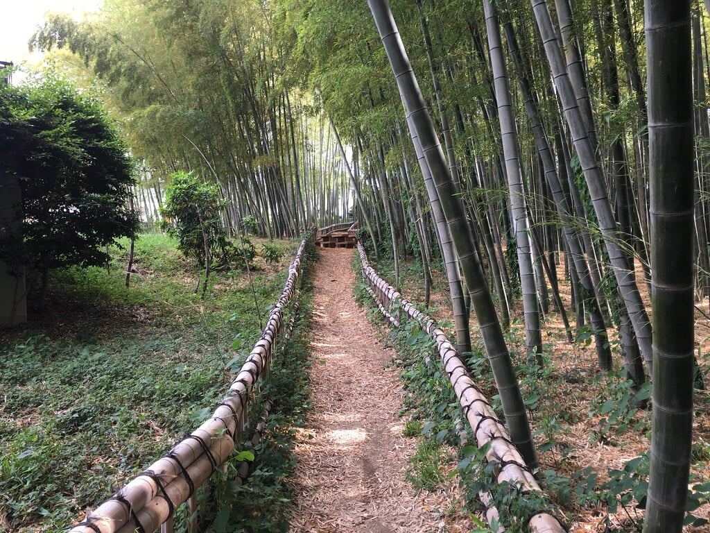 竹林公園の写真9