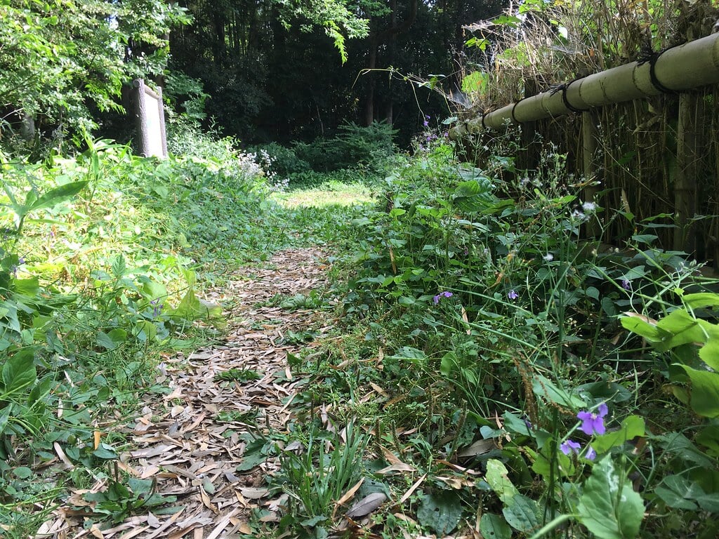 竹林公園の写真11