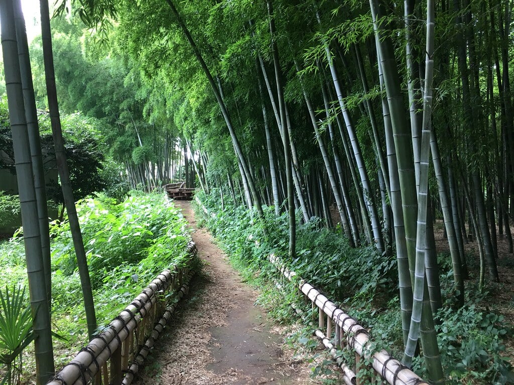 竹林公園の写真1