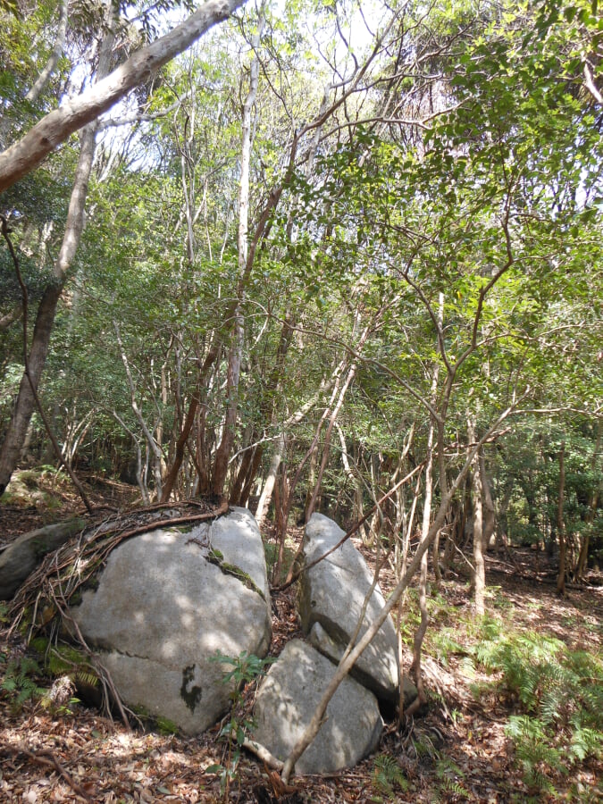 肥前大和巨石パークの写真4