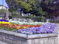 中央公園 鹿児島市