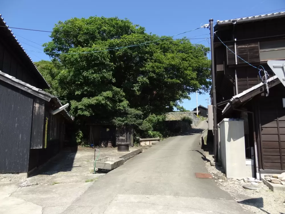 弁天サロンの写真1