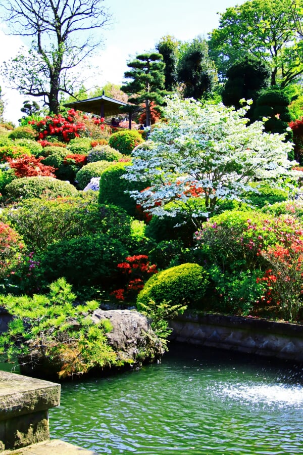 大桑原つつじ園の写真2