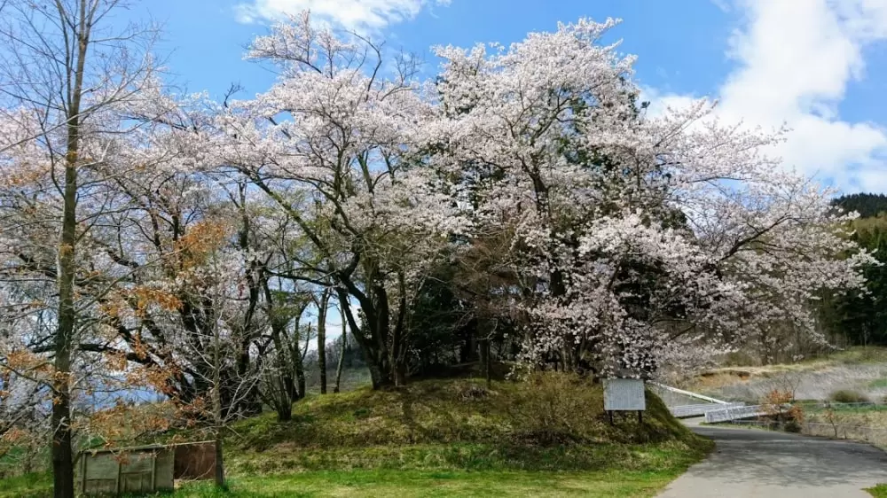 庚申塚古墳の写真1