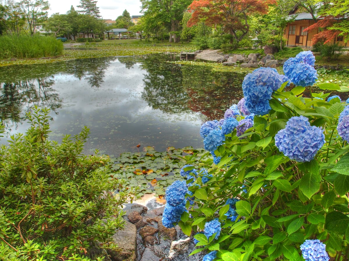 玉泉館跡地公園の写真10