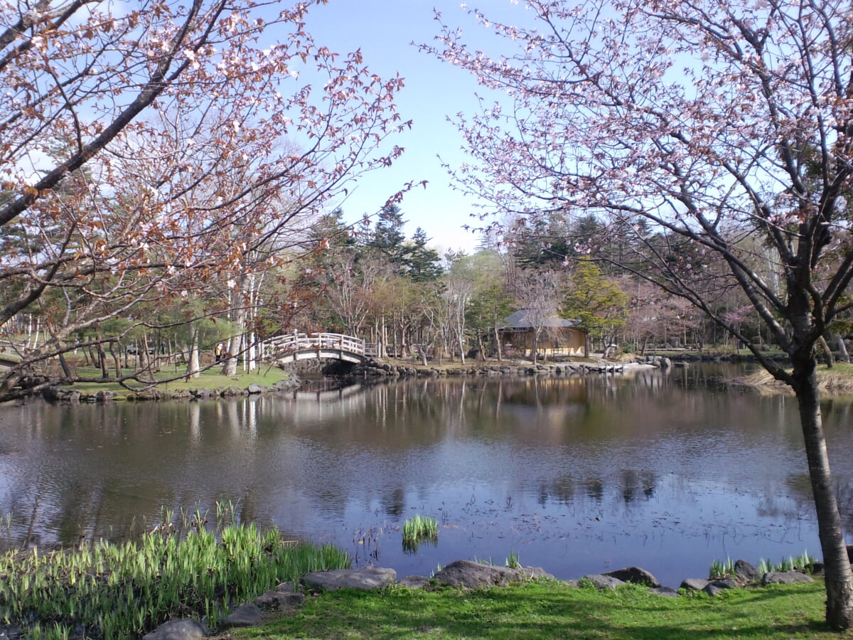 玉泉館跡地公園の写真12