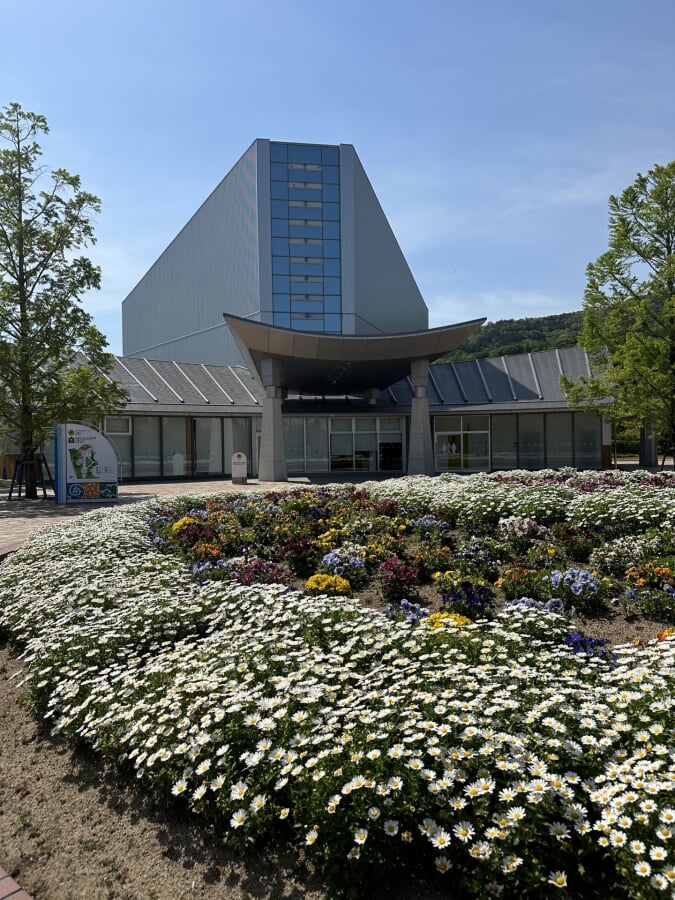 徳島木のおもちゃ美術館の写真1