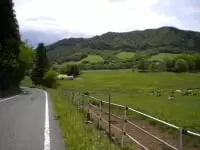 町営豊月平放牧場