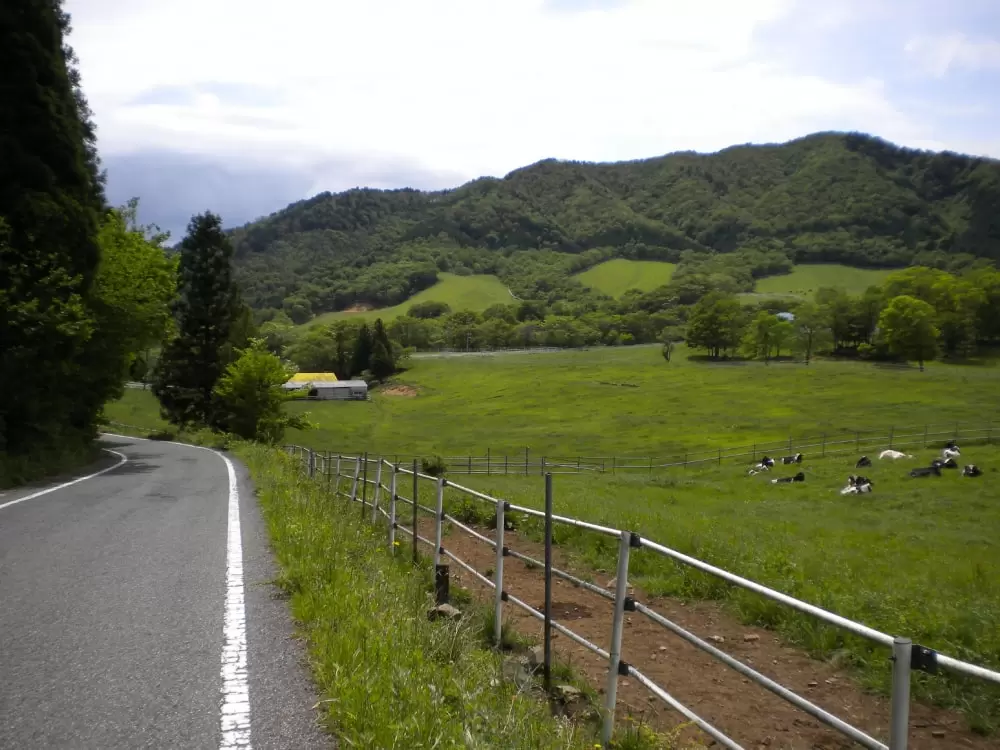 町営豊月平放牧場の写真1