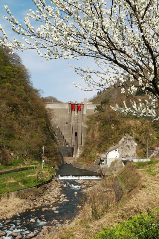 刈谷田川ダムの写真1