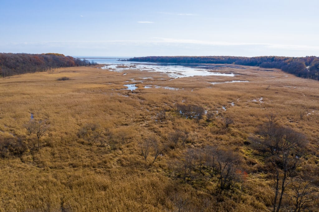 生花苗沼の写真2