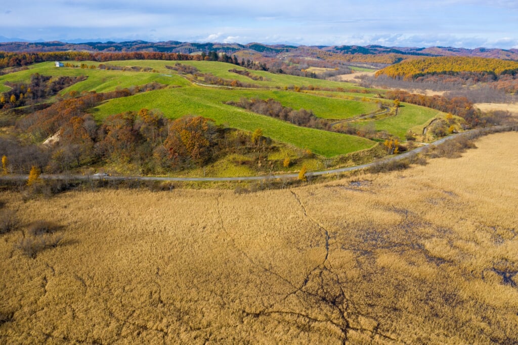 生花苗沼の写真4