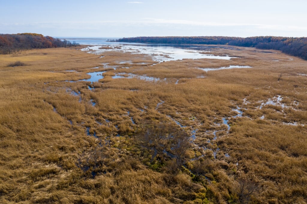 生花苗沼の写真5