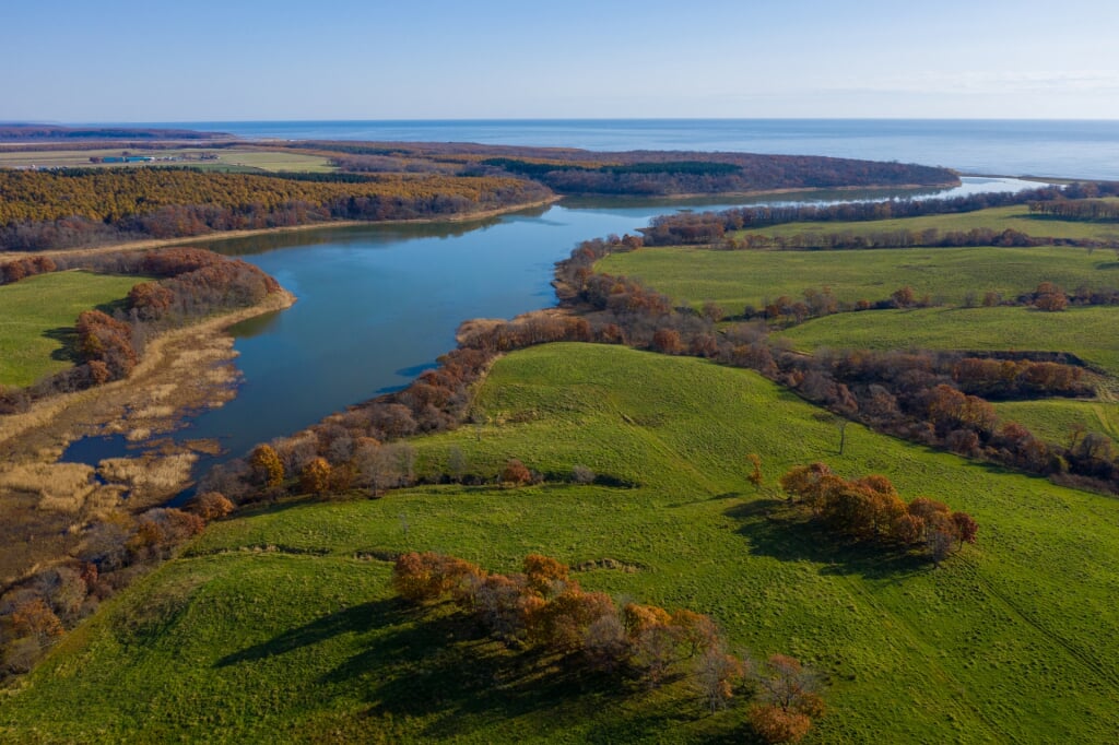 生花苗沼の写真6