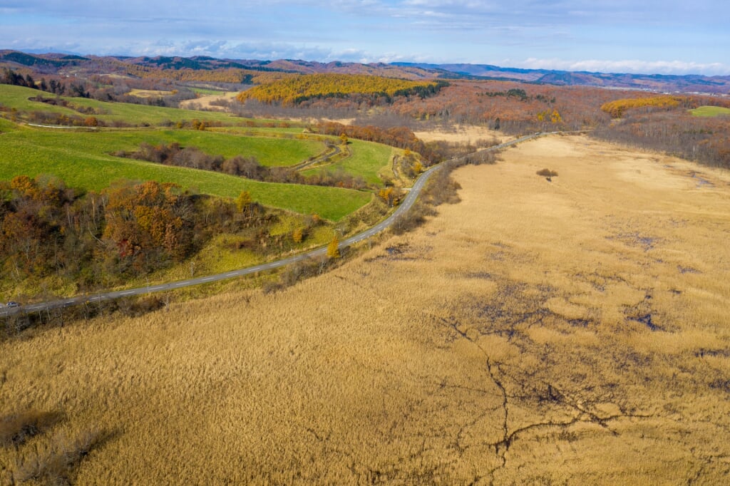 生花苗沼の写真7