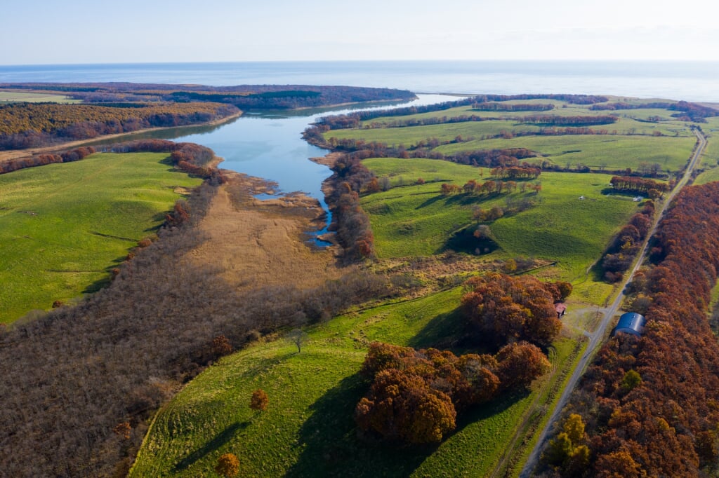 生花苗沼の写真1