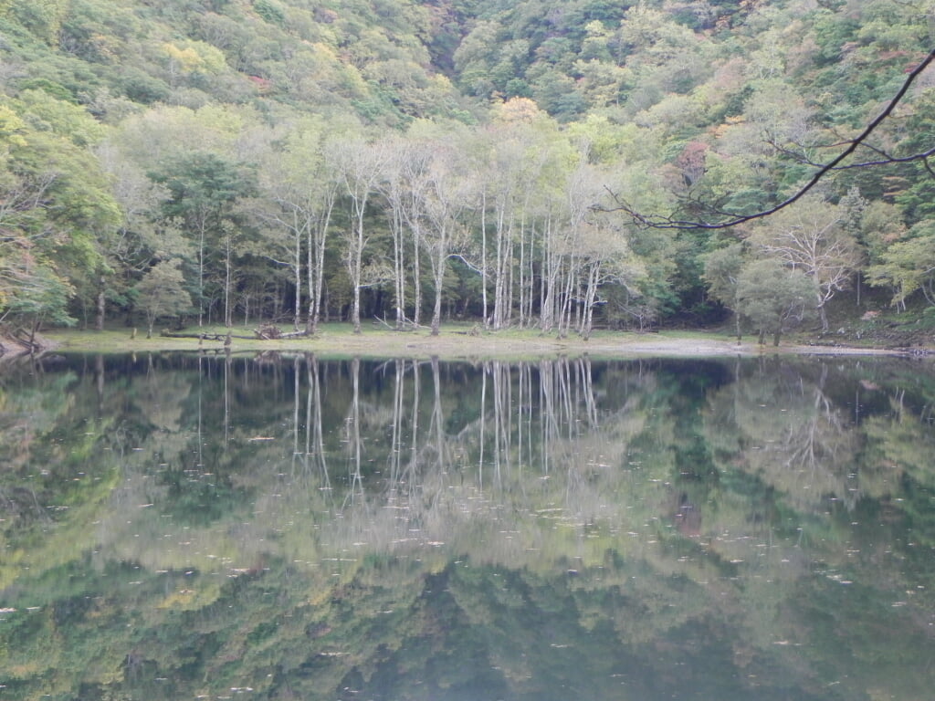 豊似湖の写真2