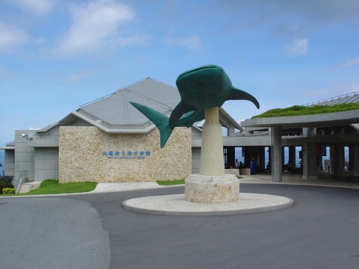 沖縄美ら海水族館の写真2