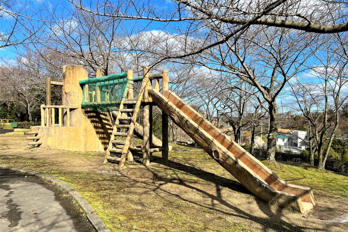 小松中央公園の写真7