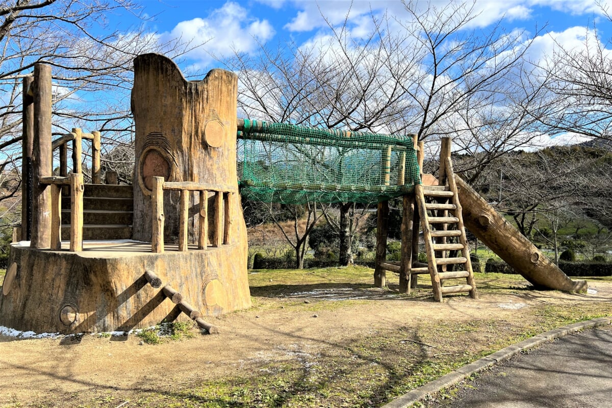 小松中央公園の写真10