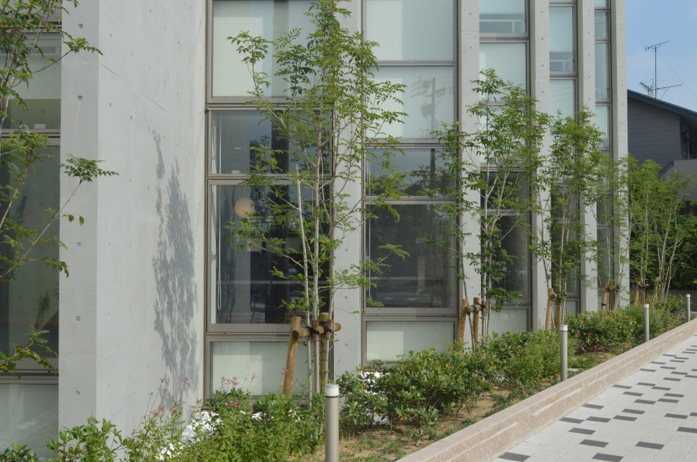 みよし市立中央図書館の写真5