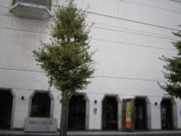 青森県立郷土館