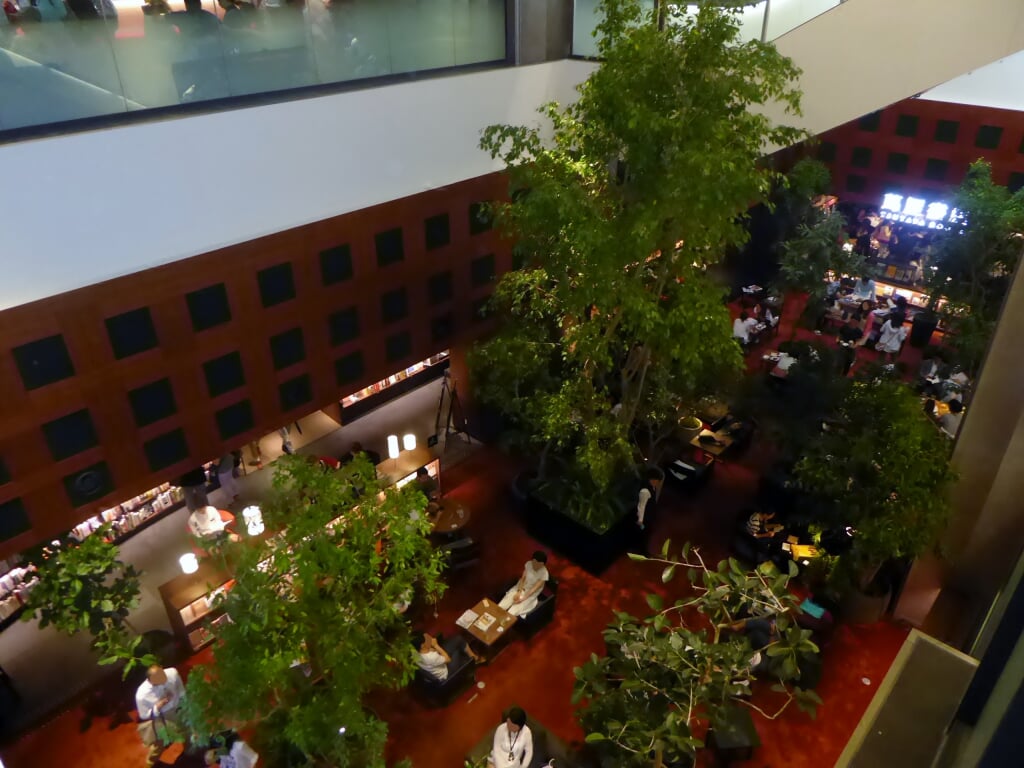 LUCUA・LUCUA1100(ルクア大阪)の写真13