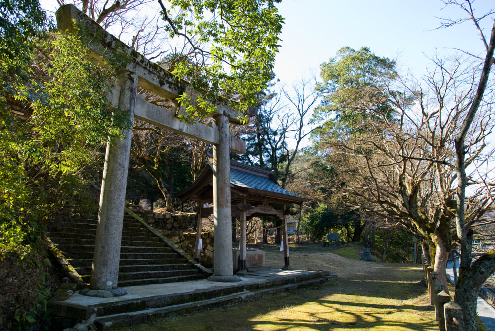 養父神社の写真2