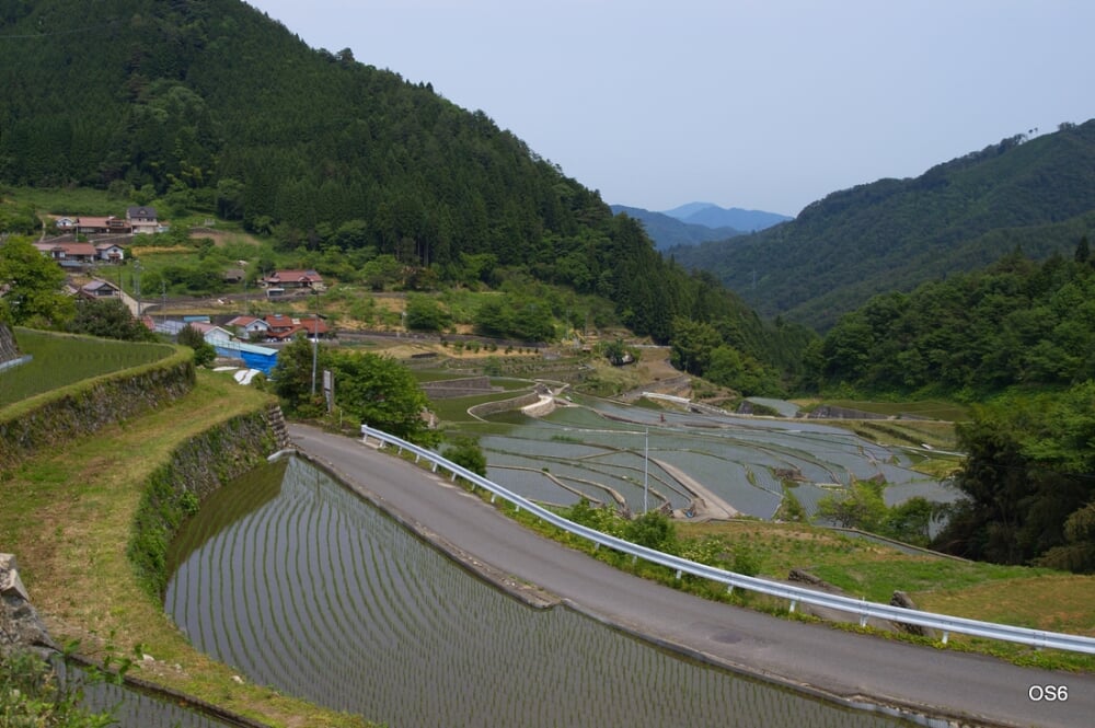 井仁の棚田の写真2