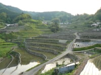 井仁の棚田