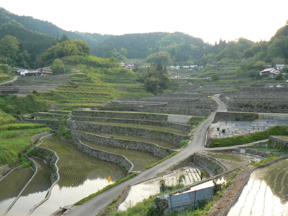 井仁の棚田の写真1