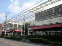 若葉ケヤキモール