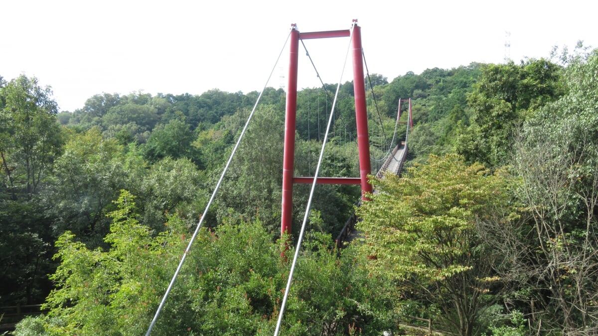 高崎市染料植物園の写真2