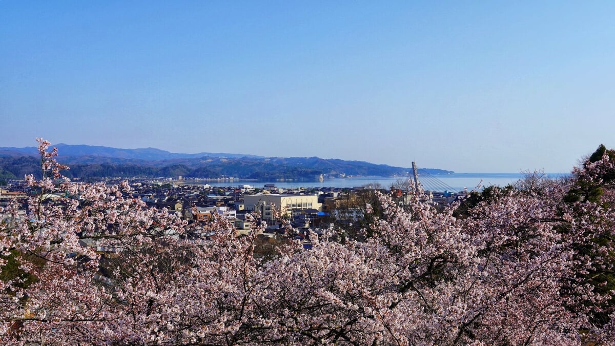 朝日山公園の写真9